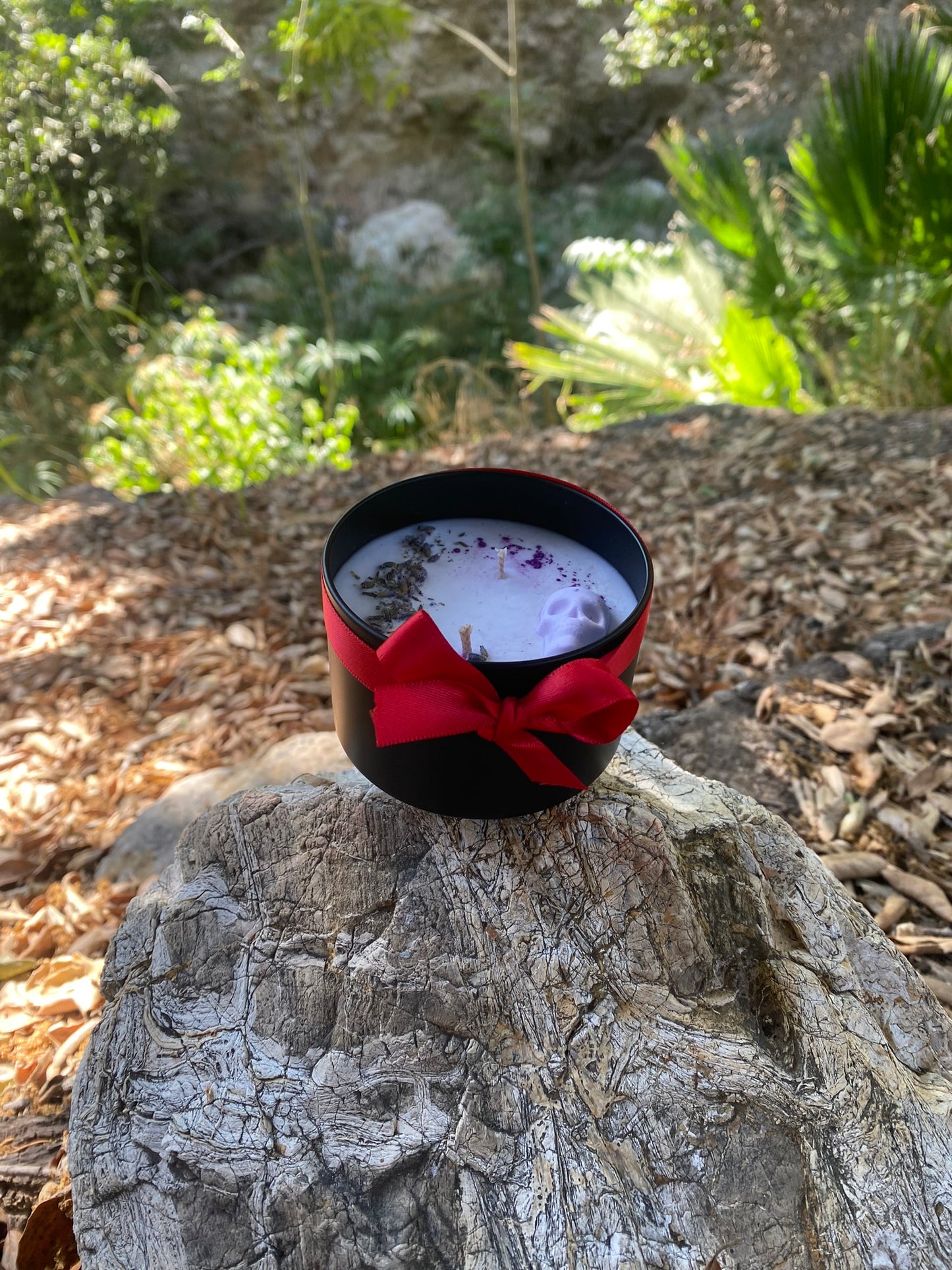 Otoño Collection - Artes Muertos